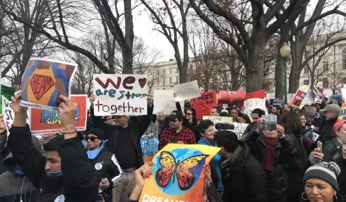 Signs at the large DACA rally