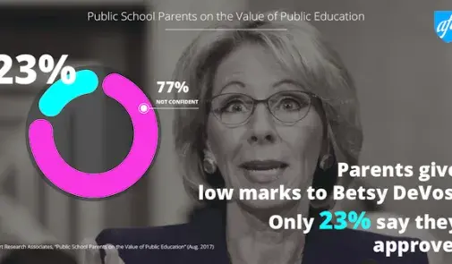 Parent poll DeVos opinions