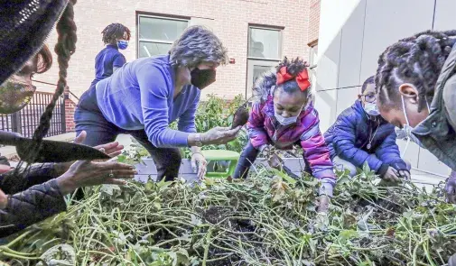 School garden at Kimball Elementary School